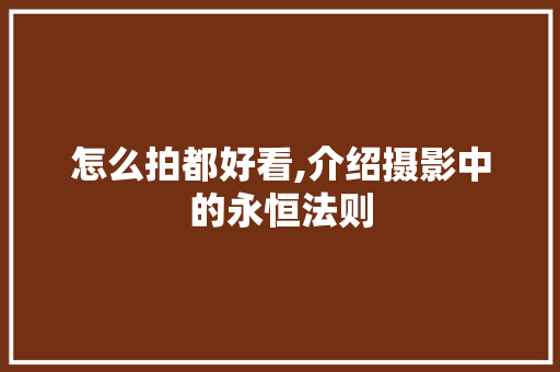 怎么拍都好看,介绍摄影中的永恒法则