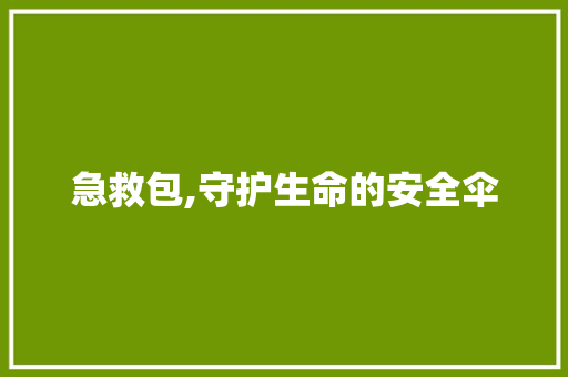 急救包,守护生命的安全伞