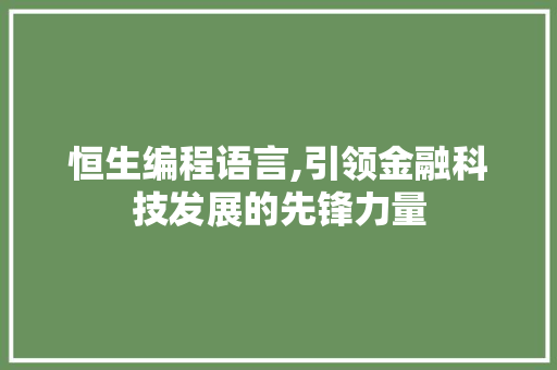 恒生编程语言,引领金融科技发展的先锋力量