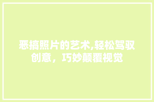恶搞照片的艺术,轻松驾驭创意，巧妙颠覆视觉