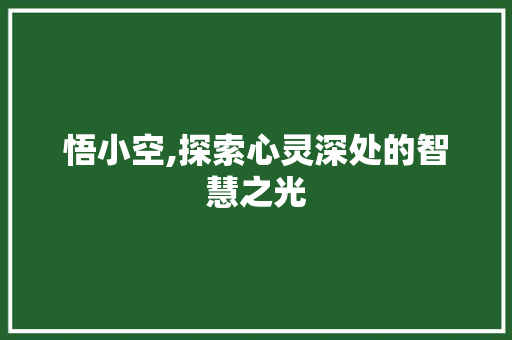 悟小空,探索心灵深处的智慧之光