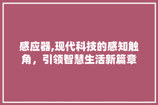 感应器,现代科技的感知触角，引领智慧生活新篇章