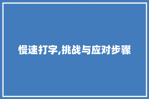 慢速打字,挑战与应对步骤 建站教程