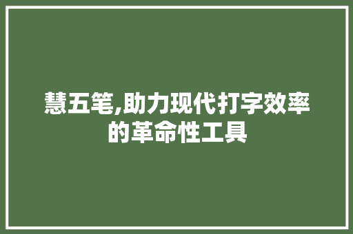 慧五笔,助力现代打字效率的革命性工具
