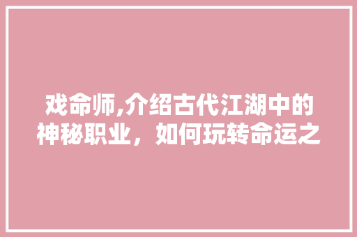 戏命师,介绍古代江湖中的神秘职业，如何玩转命运之轮 友链在线