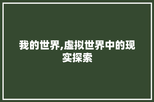 我的世界,虚拟世界中的现实探索