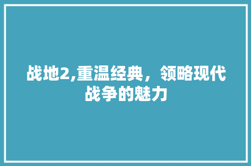 战地2,重温经典，领略现代战争的魅力