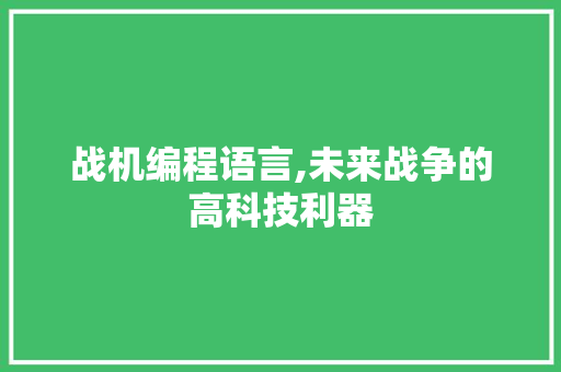 战机编程语言,未来战争的高科技利器