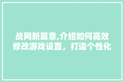战网新篇章,介绍如何高效修改游戏设置，打造个性化游戏体验