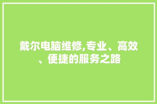戴尔电脑维修,专业、高效、便捷的服务之路