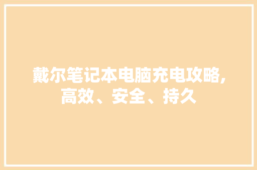 戴尔笔记本电脑充电攻略,高效、安全、持久