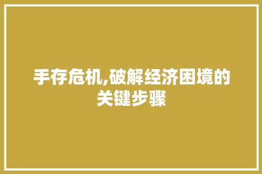 手存危机,破解经济困境的关键步骤