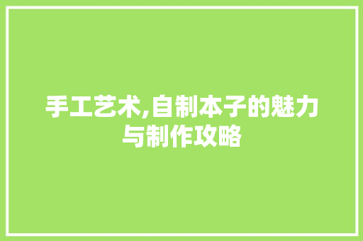 手工艺术,自制本子的魅力与制作攻略
