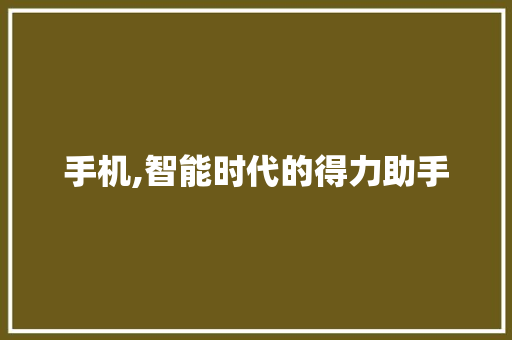 手机,智能时代的得力助手