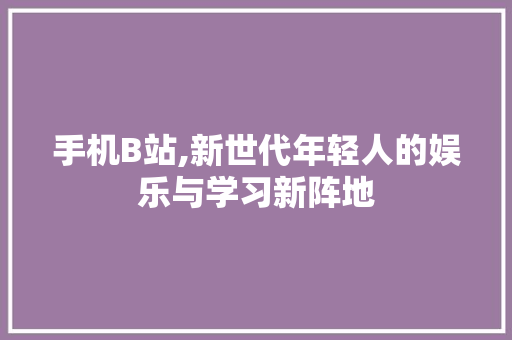 手机B站,新世代年轻人的娱乐与学习新阵地 WordPress教程