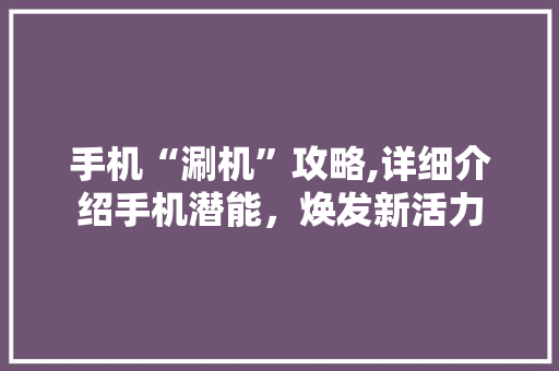 手机“涮机”攻略,详细介绍手机潜能，焕发新活力 SEO教程