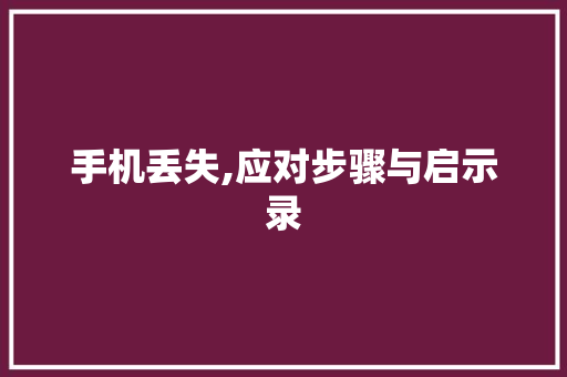 手机丢失,应对步骤与启示录 WordPress教程