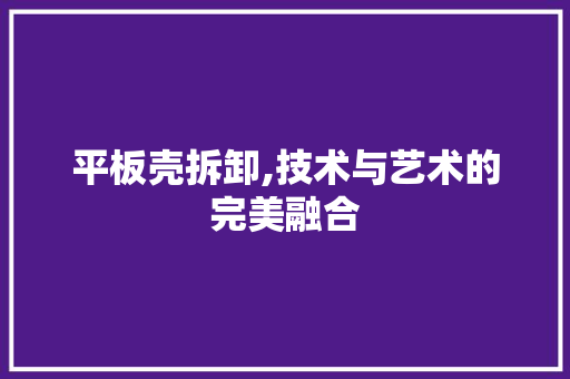 平板壳拆卸,技术与艺术的完美融合