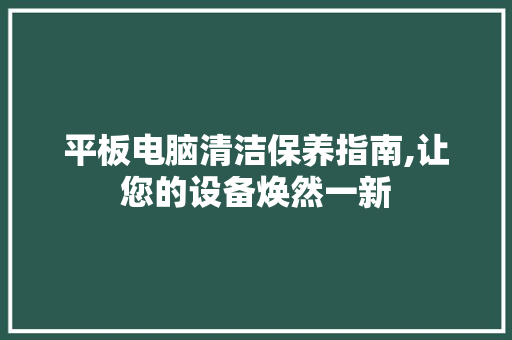 平板电脑清洁保养指南,让您的设备焕然一新 WordPress教程