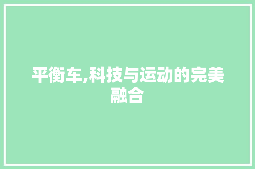 平衡车,科技与运动的完美融合