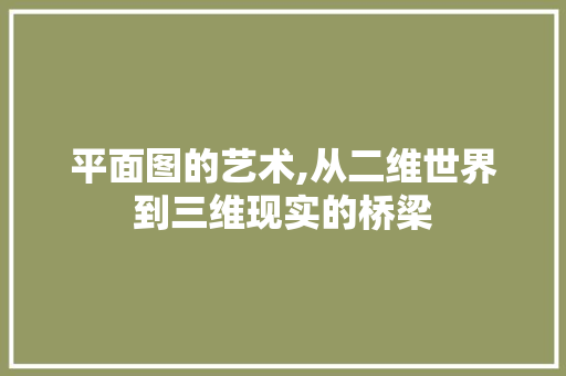 平面图的艺术,从二维世界到三维现实的桥梁