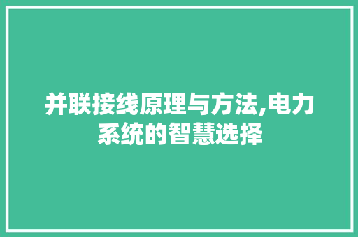 并联接线原理与方法,电力系统的智慧选择