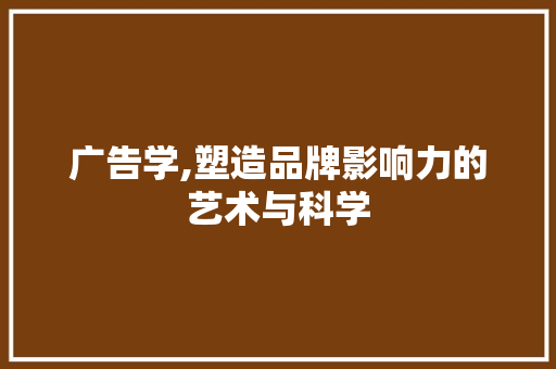 广告学,塑造品牌影响力的艺术与科学