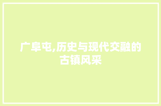 广阜屯,历史与现代交融的古镇风采 Web前端