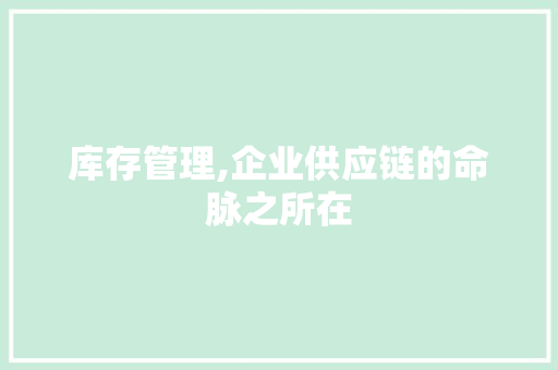 库存管理,企业供应链的命脉之所在