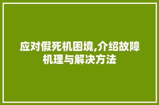 应对假死机困境,介绍故障机理与解决方法
