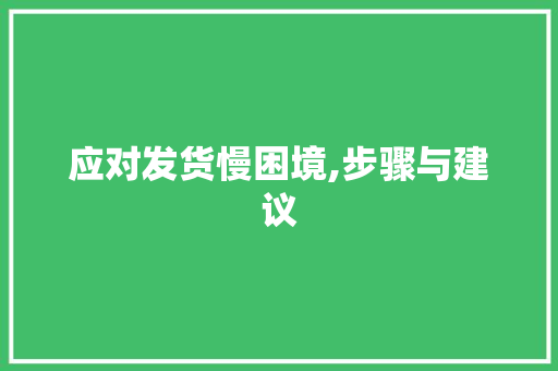 应对发货慢困境,步骤与建议