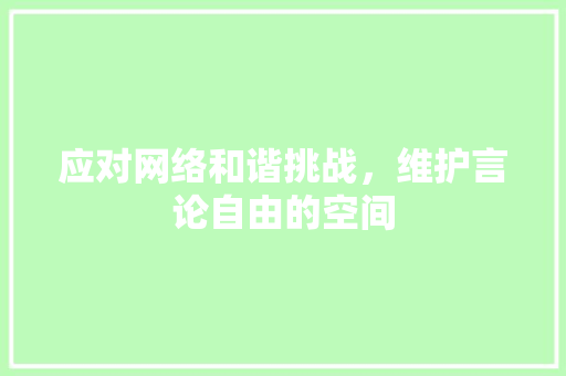 应对网络和谐挑战，维护言论自由的空间