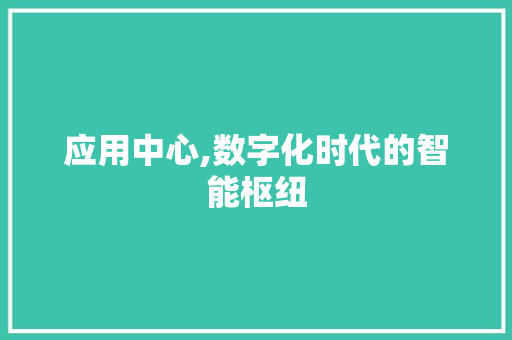 应用中心,数字化时代的智能枢纽