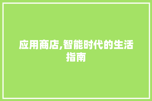 应用商店,智能时代的生活指南