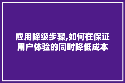 应用降级步骤,如何在保证用户体验的同时降低成本