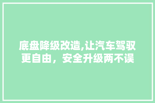底盘降级改造,让汽车驾驭更自由，安全升级两不误
