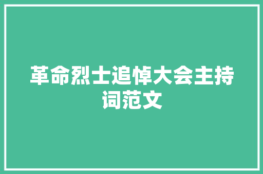 店铺号的力量,解码数字时代的商业密码 SEO教程