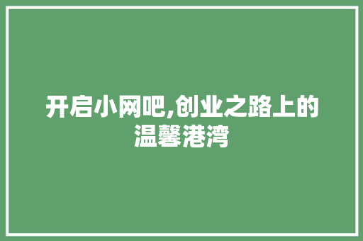 开启小网吧,创业之路上的温馨港湾 WordPress教程