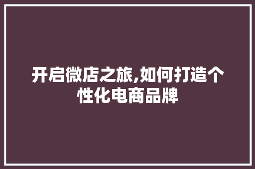 开启微店之旅,如何打造个性化电商品牌