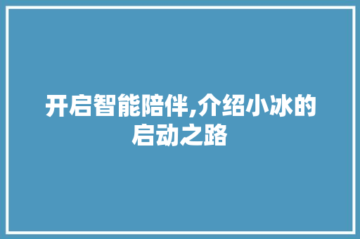 开启智能陪伴,介绍小冰的启动之路