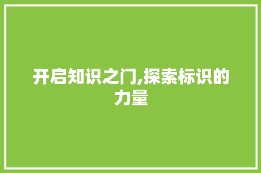 开启知识之门,探索标识的力量 服务器/数据库