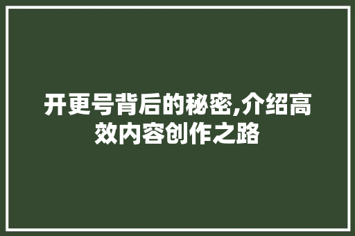 开更号背后的秘密,介绍高效内容创作之路