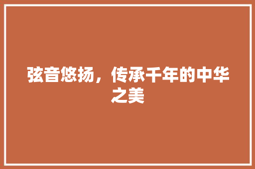 弦音悠扬，传承千年的中华之美