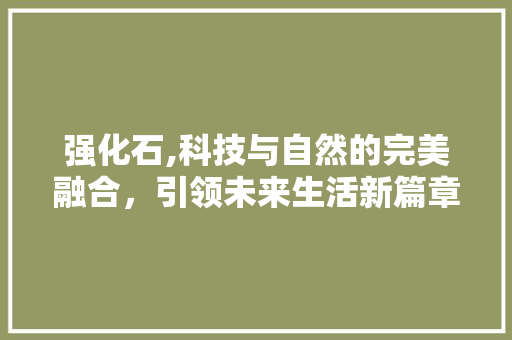 强化石,科技与自然的完美融合，引领未来生活新篇章