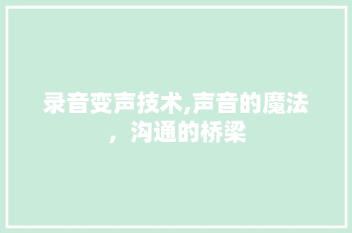 录音变声技术,声音的魔法，沟通的桥梁