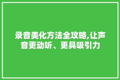 录音美化方法全攻略,让声音更动听、更具吸引力