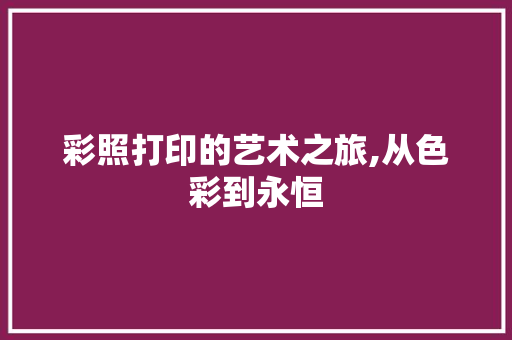 彩照打印的艺术之旅,从色彩到永恒