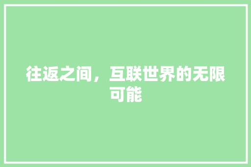 往返之间，互联世界的无限可能