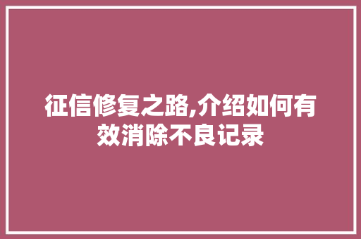 征信修复之路,介绍如何有效消除不良记录 服务器/数据库