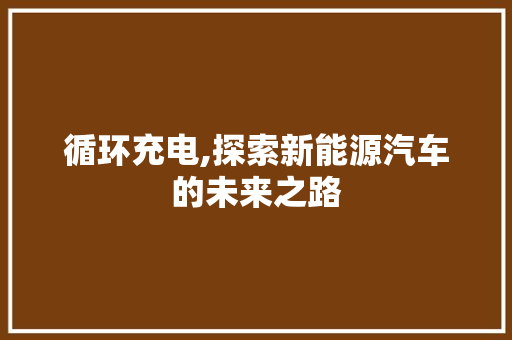 循环充电,探索新能源汽车的未来之路